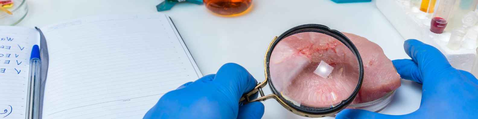 Corso di formazione per aziende: Corso aggiornamento HACCP per addetti alla manipolazione di alimenti e bevande